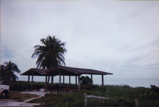 深湾州立公园&海滩-Big Pine Key必去景点