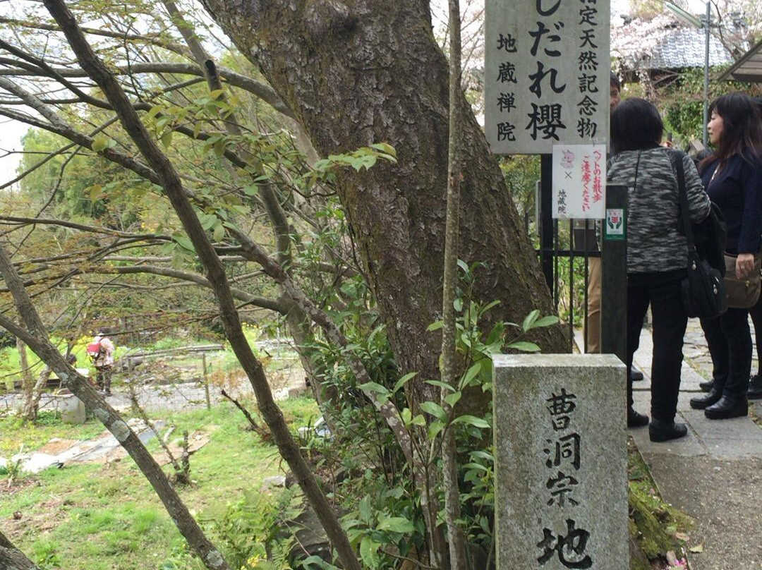 Jizozenin Temple-井手町必去景点