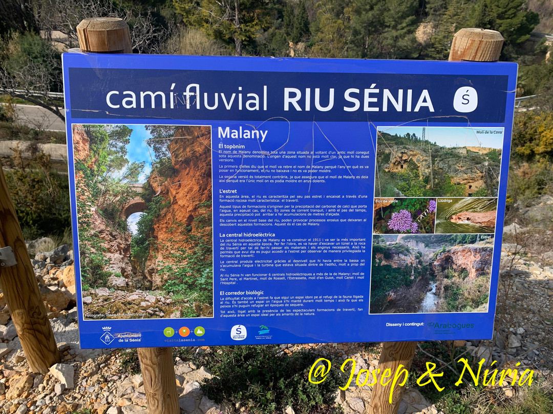 Camí Fluvial Del Riu Sènia景点图片