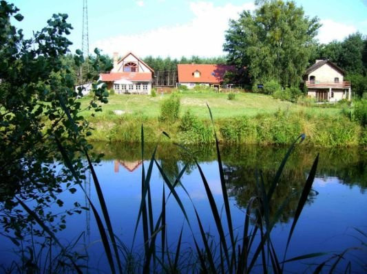 Dom wsrod lasow .Przyłeg