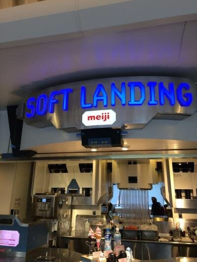 ソフトランディング（東京ディズニーランド）