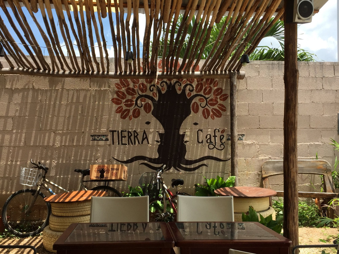 Felipe Carrillo Puerto餐馆和美食-Tierra Cafe