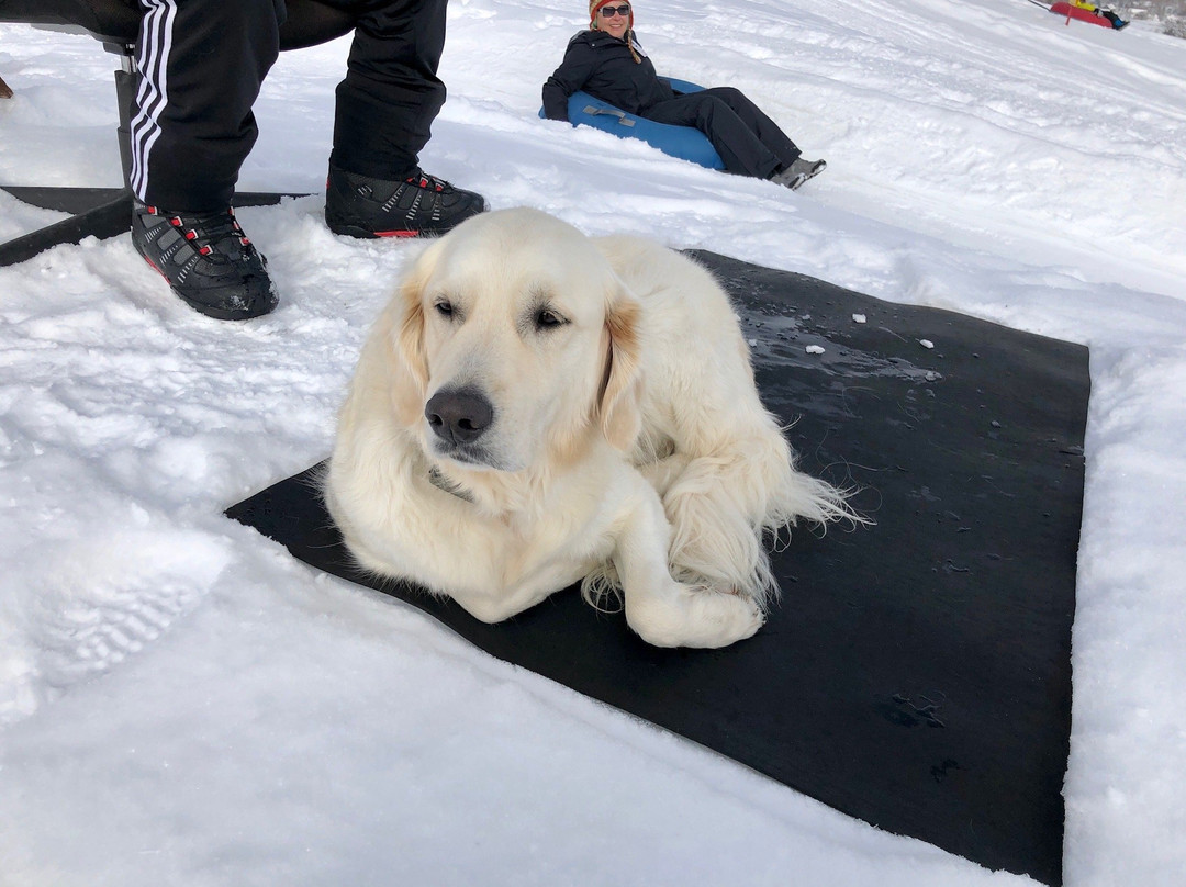 Wasatch Parc Snow Tubing景点图片