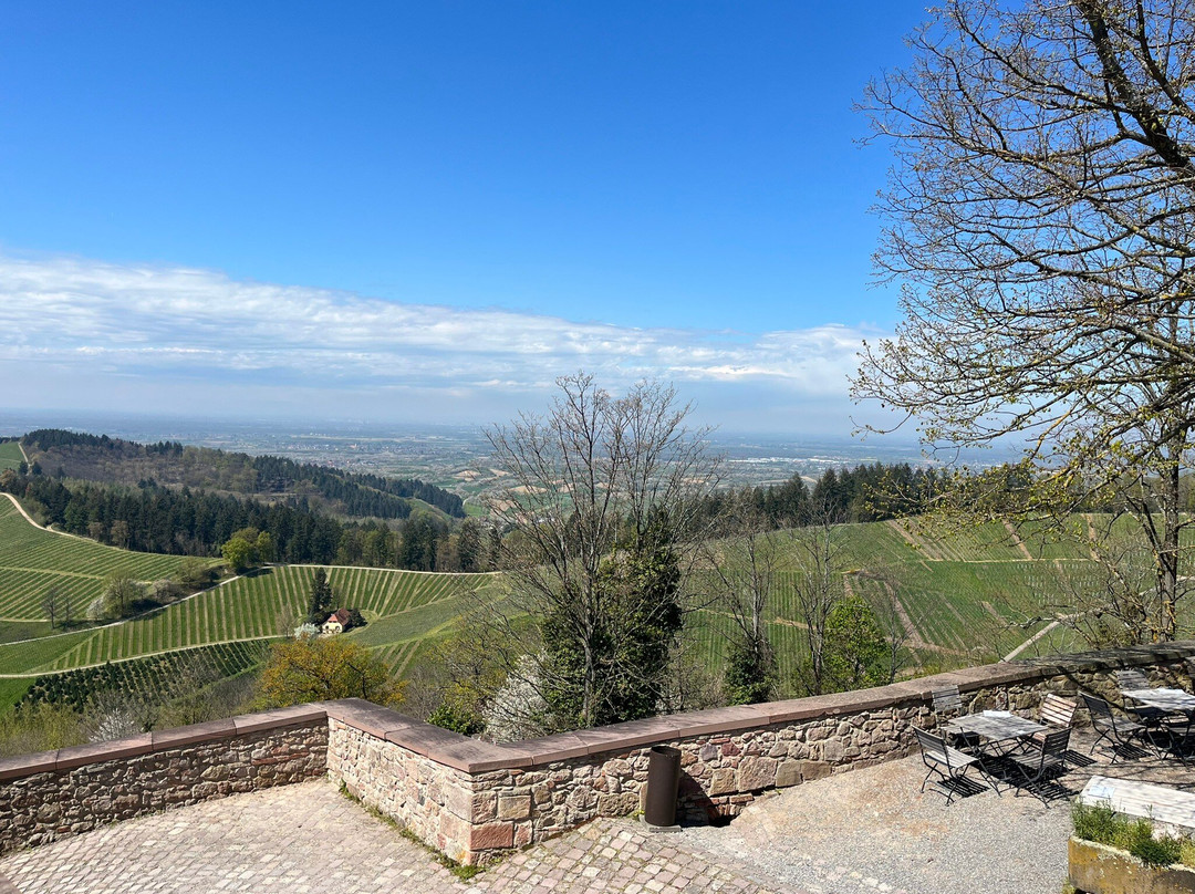 Weingut Schloss Staufenberg景点图片