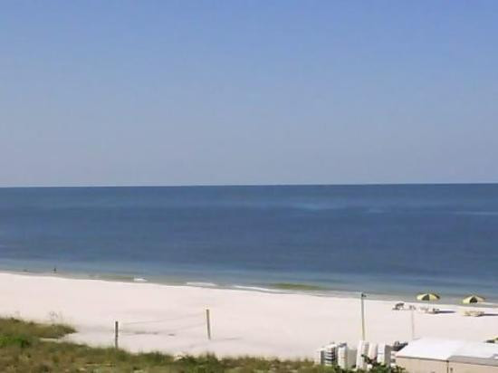 Marco Island Marina景点图片