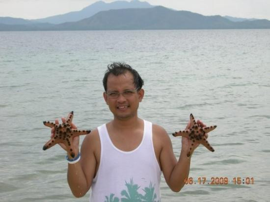 宏大湾景点图片