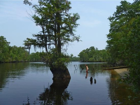 Black River Outdoors-美特尔海滩必去景点