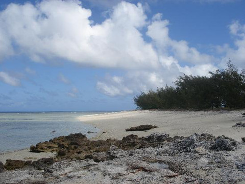 格列夫人岛-马斯格雷夫夫人岛必去景点