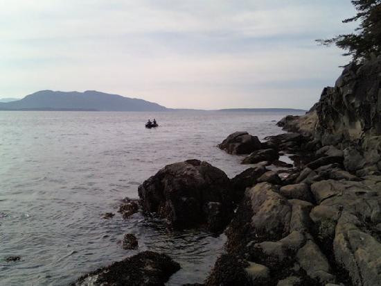 Clayton Beach-贝灵厄姆必去景点