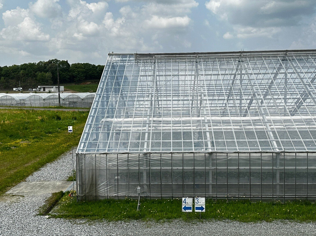 Kinta Farm Berryne-滨田市必去景点