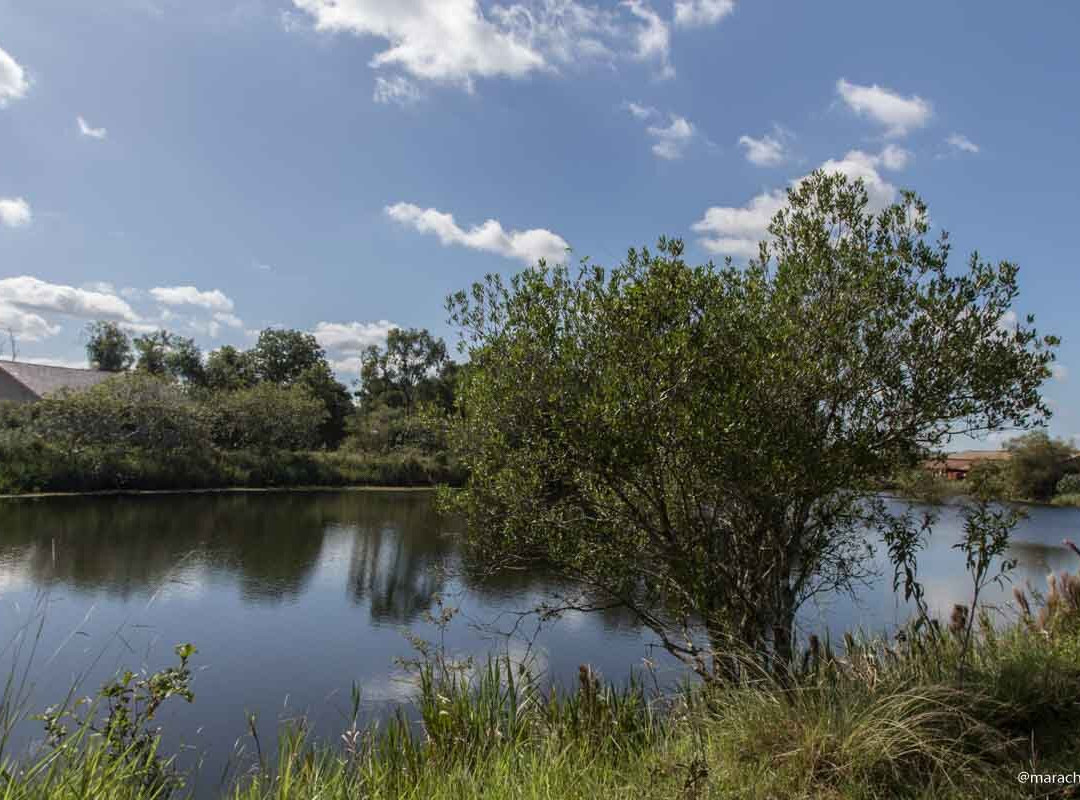 Ponte sobre rio dos Sinos.-Campo Bom必去景点
