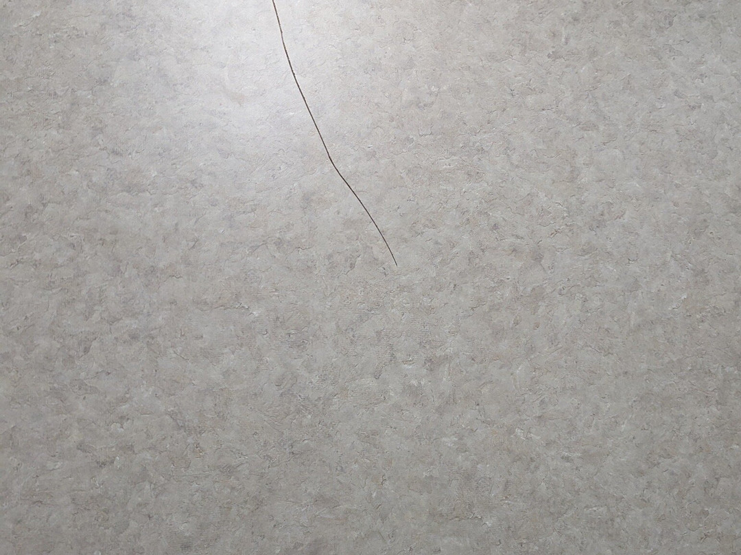 Super 8 by Wyndham Madison/Ridgeland Area主图