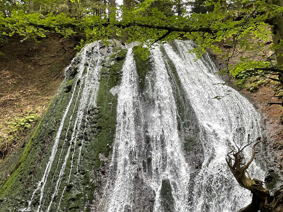Cascade du Rossignolet景点图片