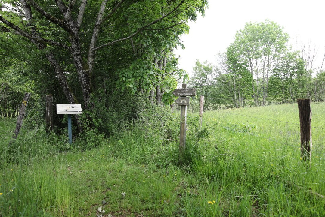 Sentier des pierres séches-La Marre必去景点