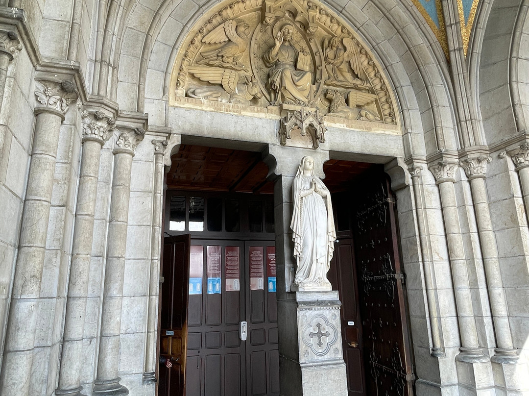 Basilique de l’Immaculee Conception景点图片