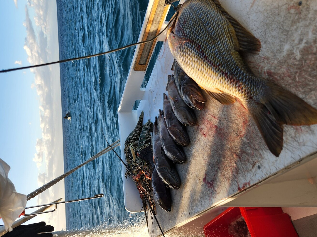 Eastern Voyager Charters-Gladstone必去景点