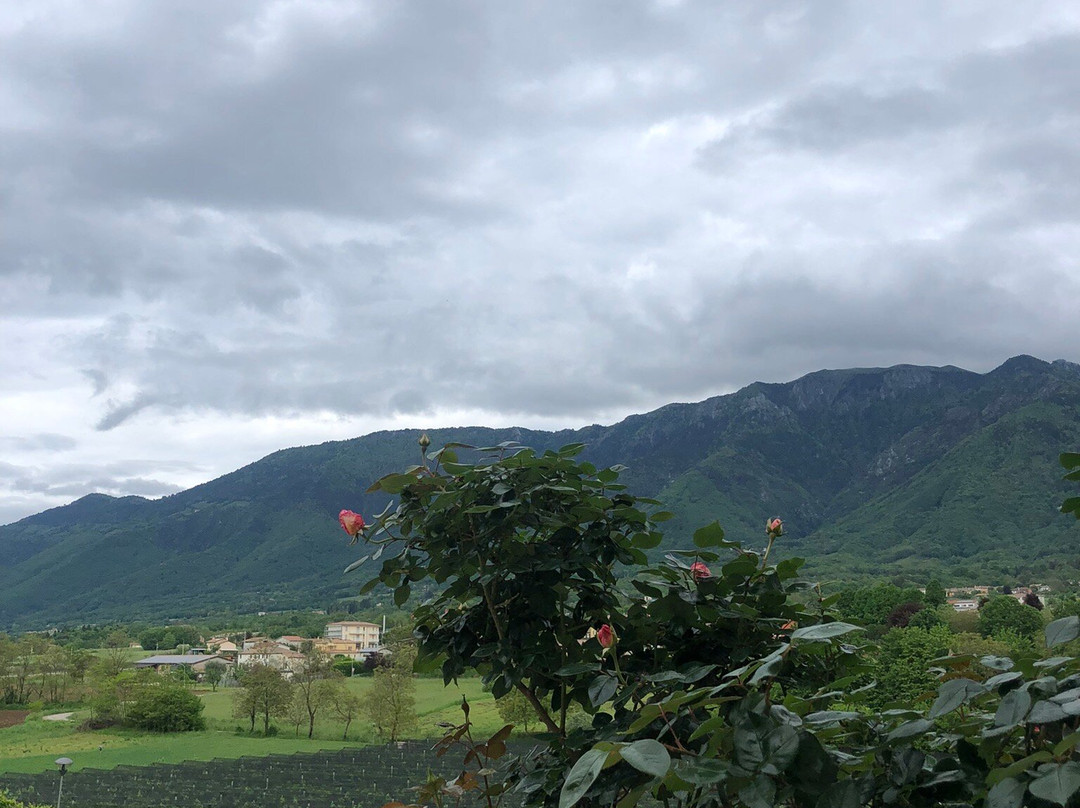 Agriturismo CasaMela主图