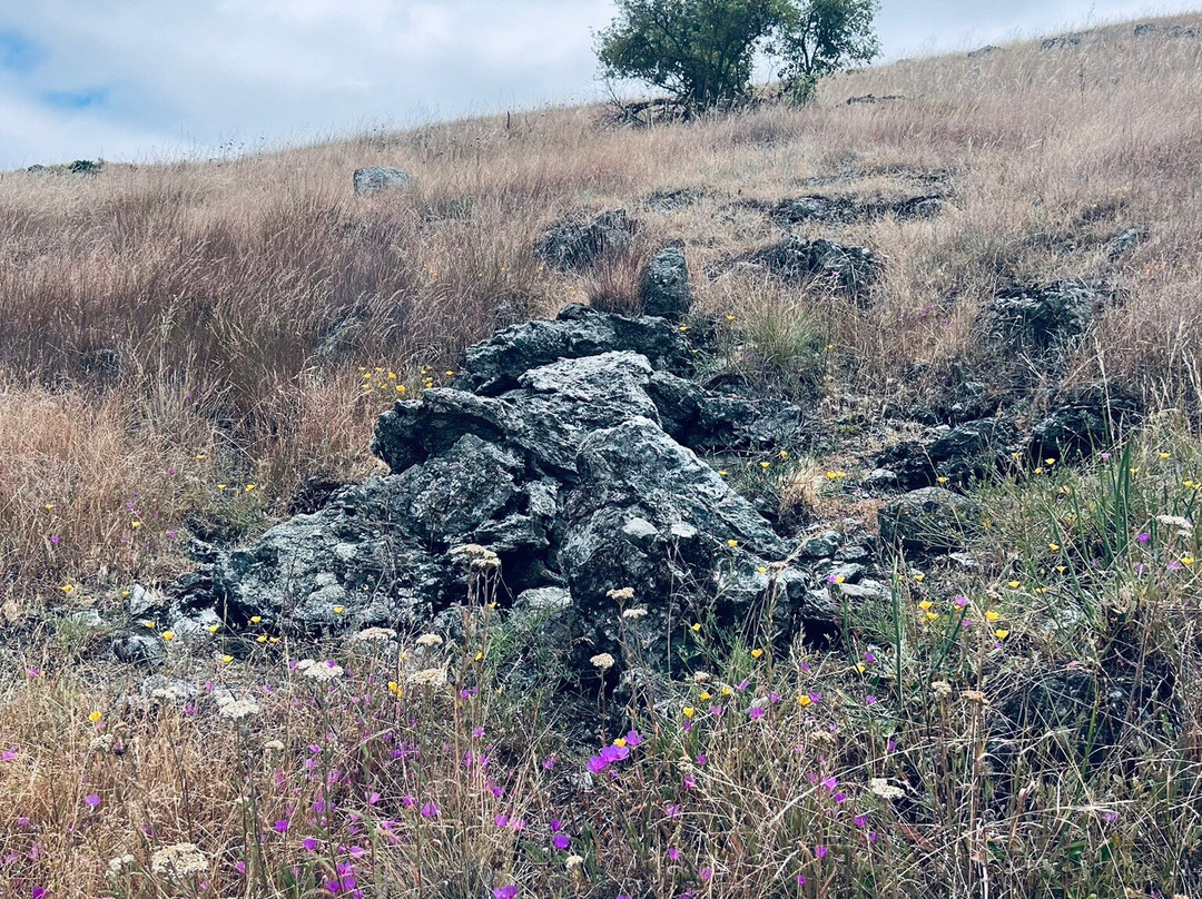 Santa Teresa County Park-圣何塞必去景点
