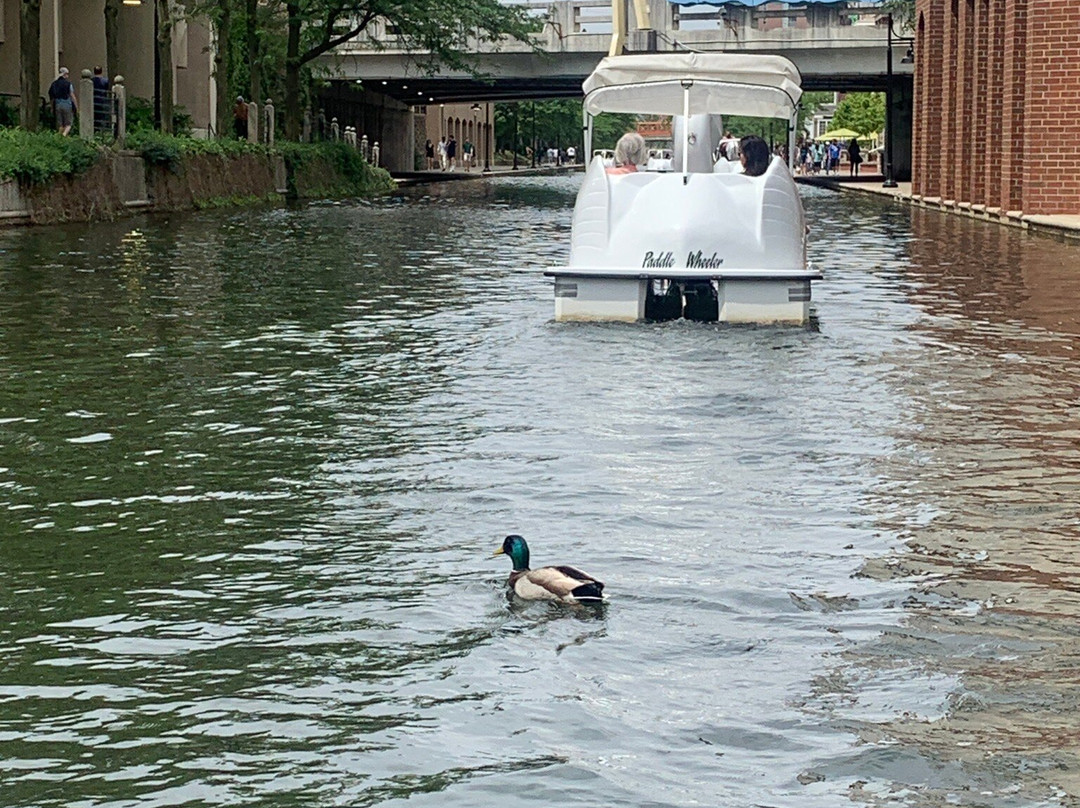 Wheel Fun Rentals-印第安纳波利斯必去景点