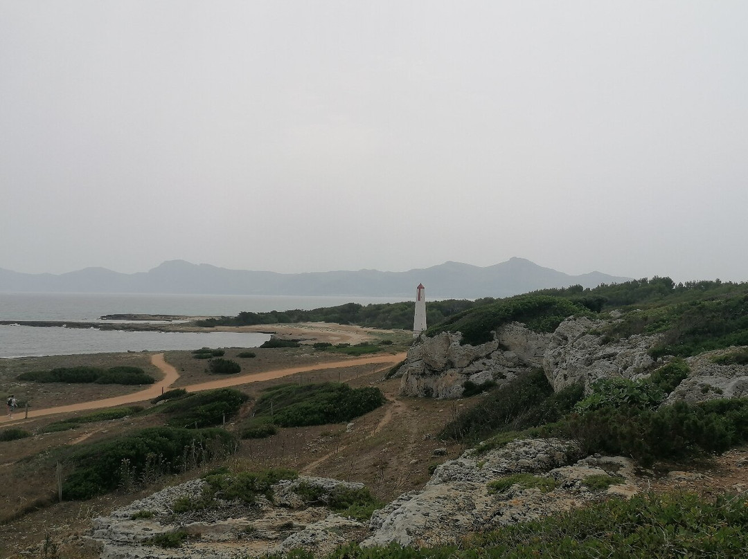 Finca Publica Son Real景点图片