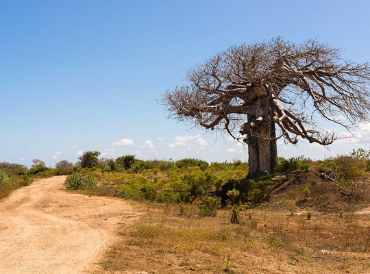 nomade SAFARI-蒙巴萨必去景点