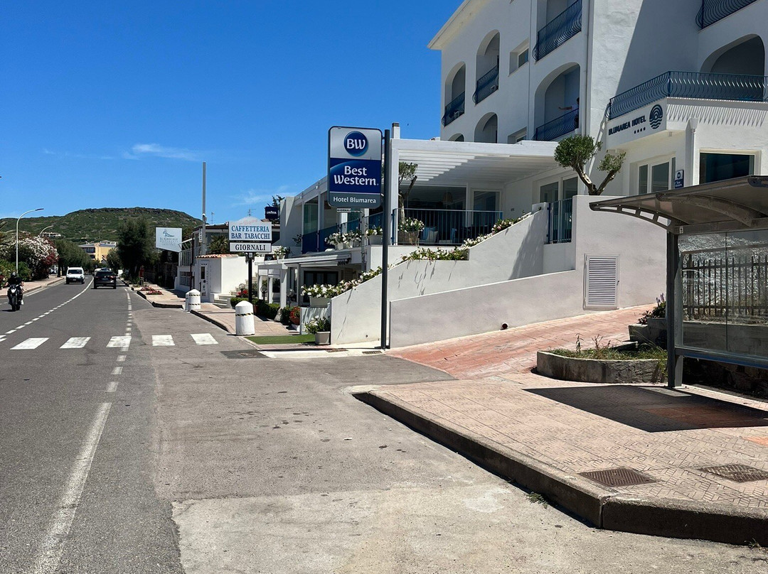 Best Western Hotel Blumarea主图