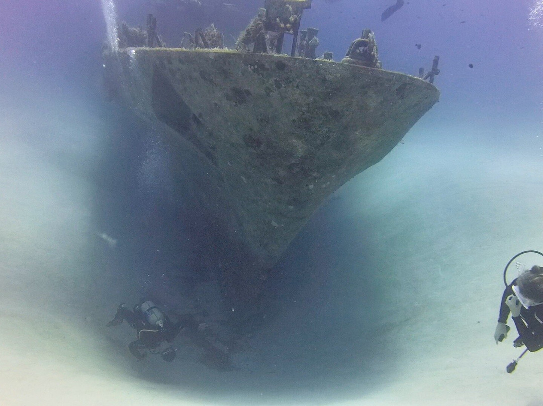 Orangeshark Diving Centre-梅雷赫必去景点