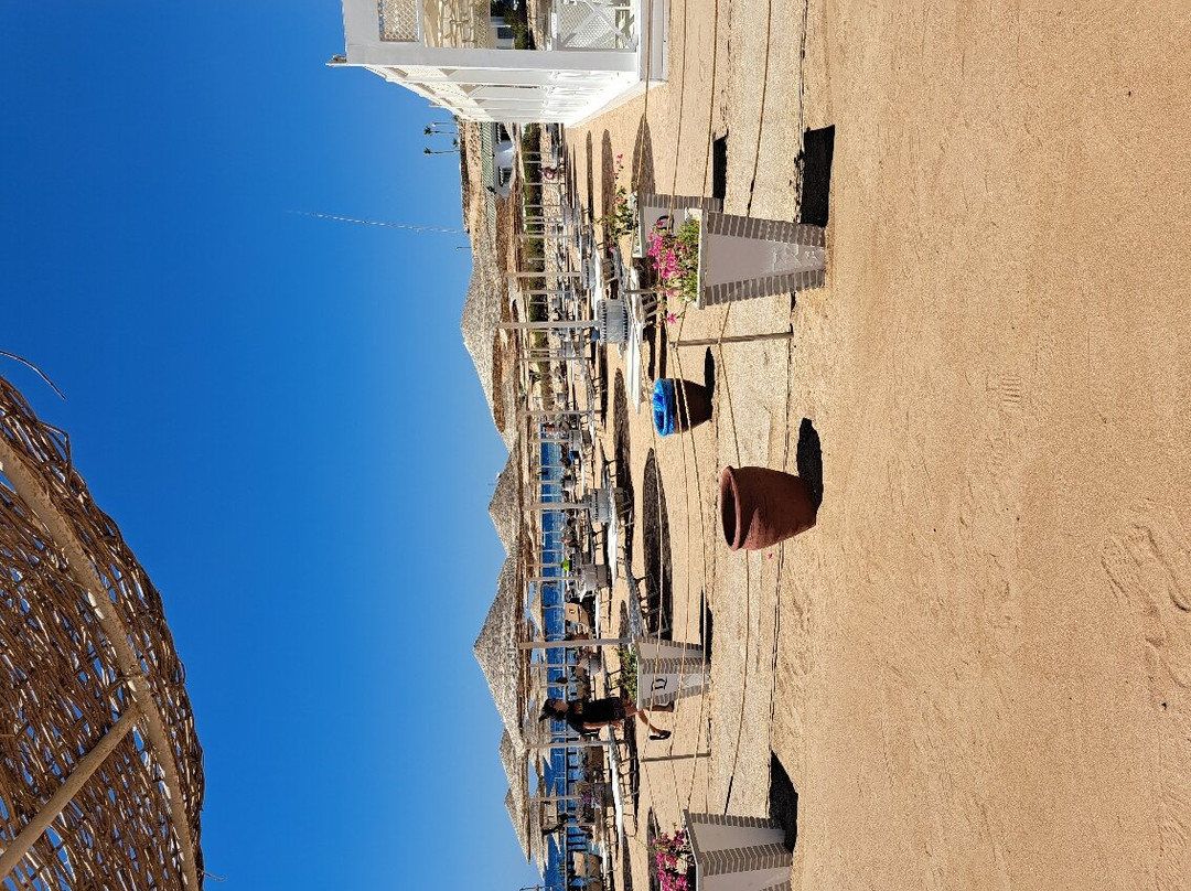Sheikh Coast Diving Center景点图片