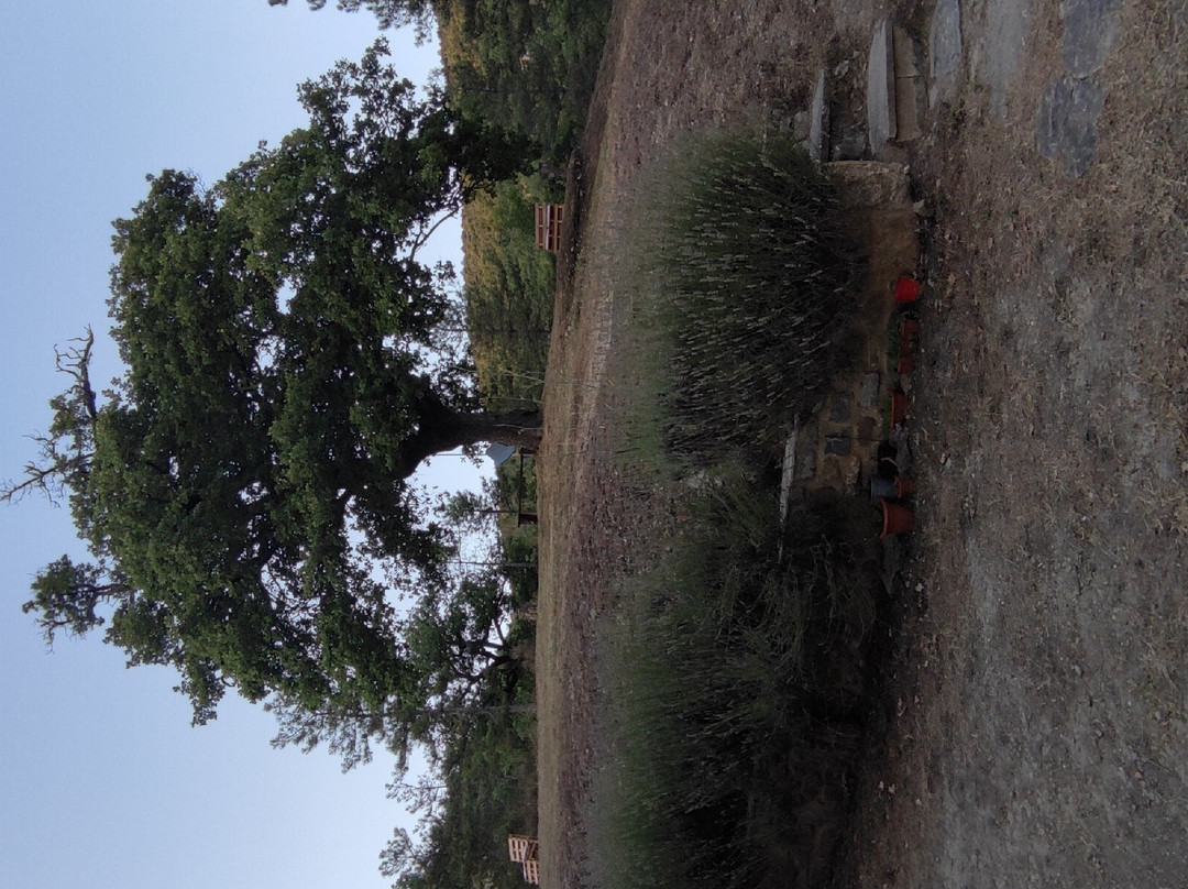 坎坡伦戈橡树酒店主图