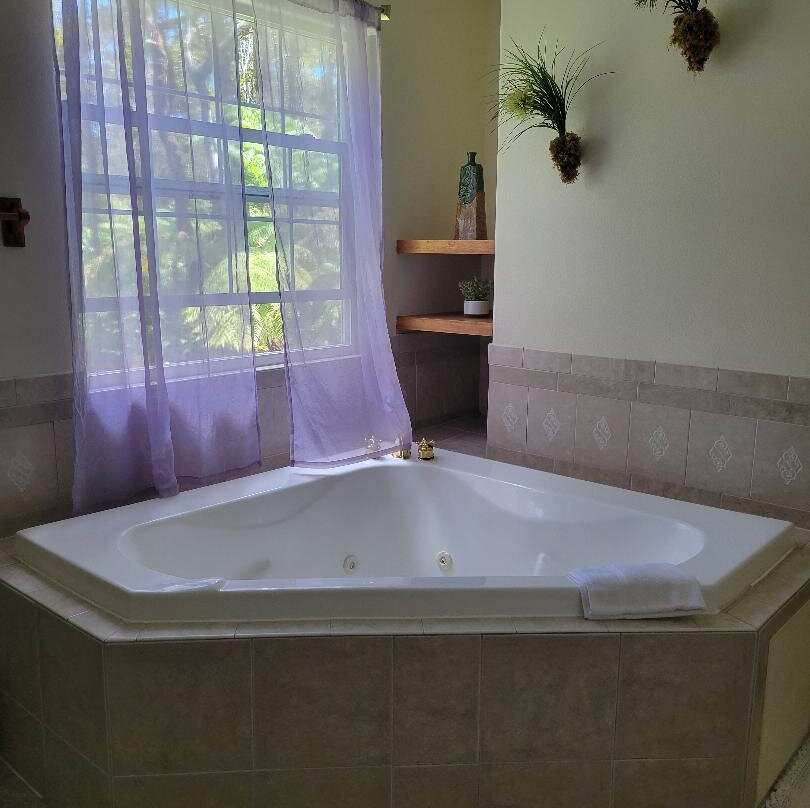 竹玉兰村庄旅社主图