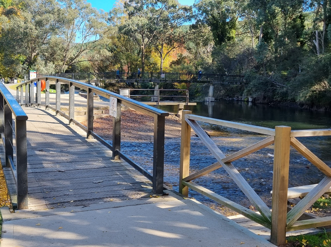 Cherry Walk Nature Trail-布赖特必去景点