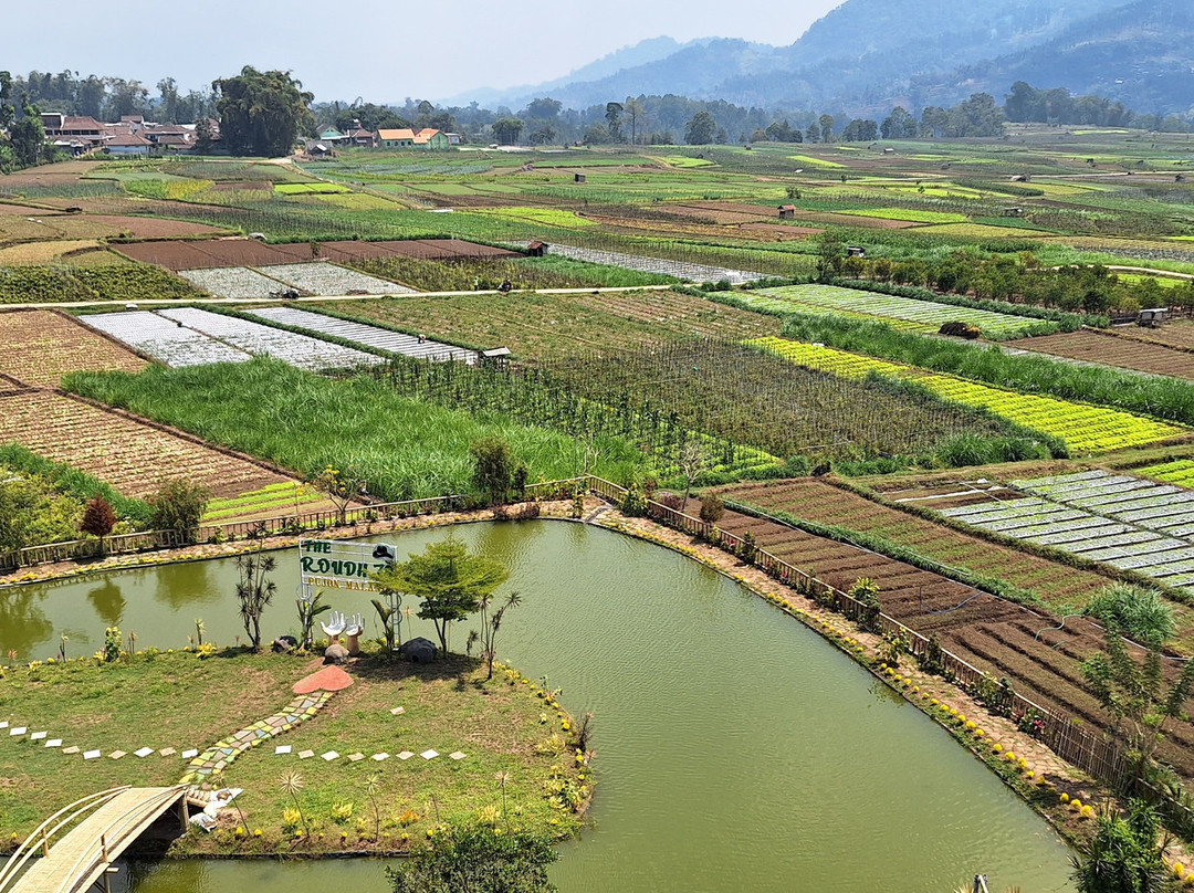 Desa Wisata Pujon Kidul景点图片