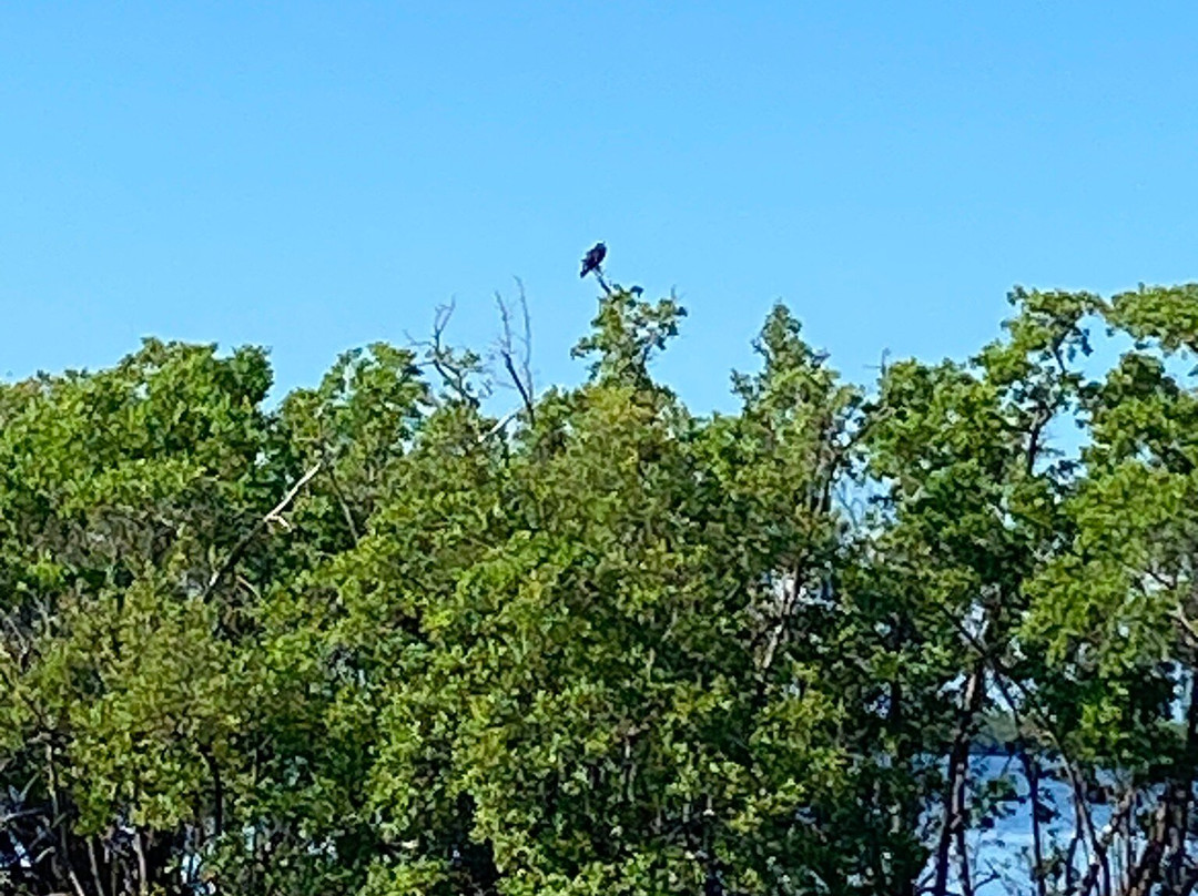 Everglades Florida Adventures-大沼泽地必去景点