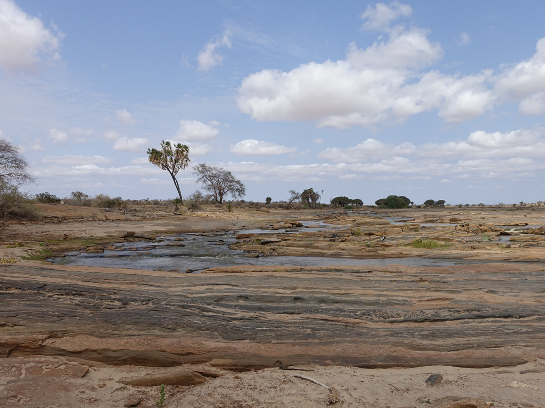 Tsavo East National Park景点图片