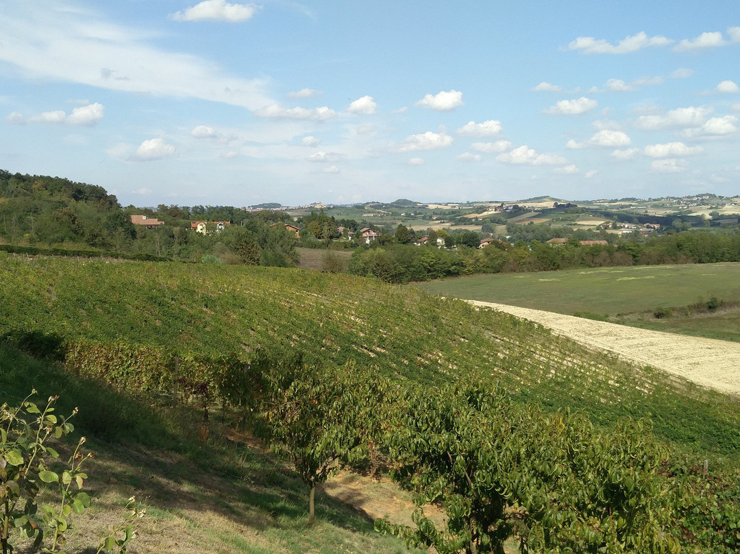 Cascina Brichetto景点图片