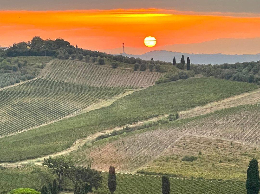 Villa Dianella Wine Resort主图