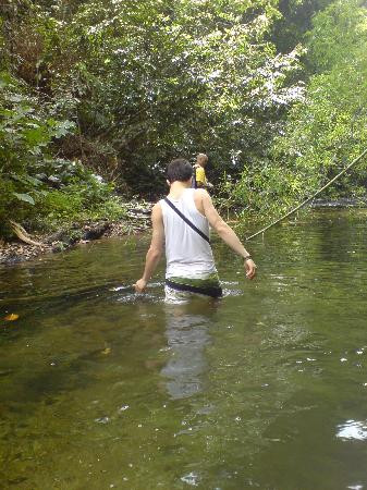 Nature Trekking-特立尼达和多巴哥必去景点