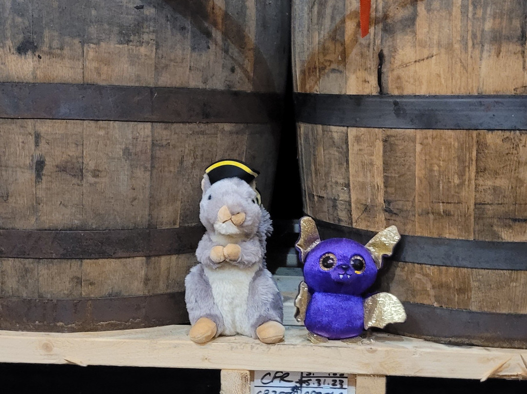 Copper Fox Distillery - Williamsburg-威廉斯堡必去景点