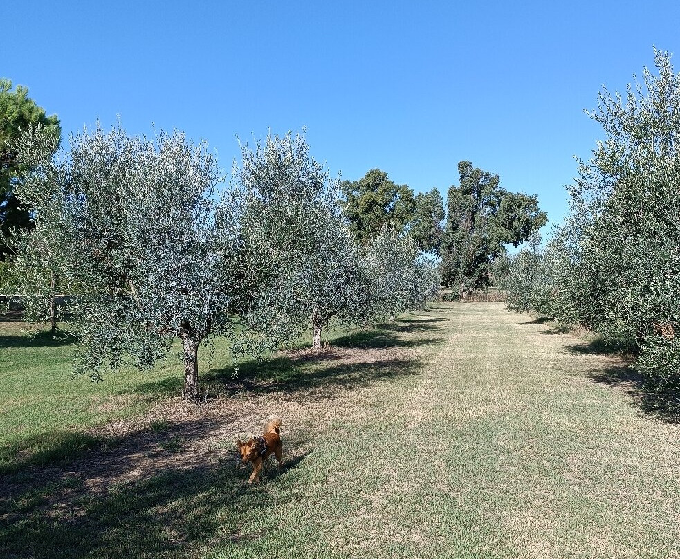 Agriturismo Gli Etruschi主图