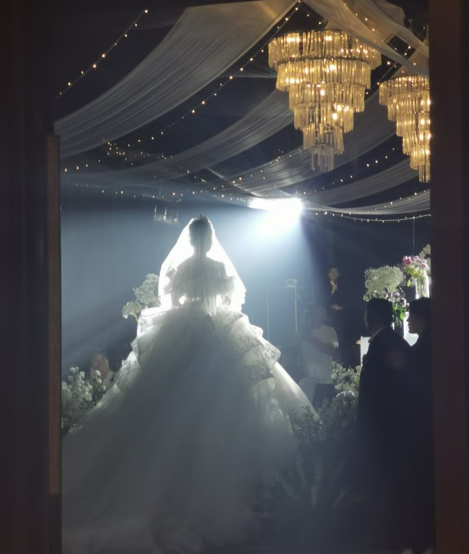 阜阳宝龙温德姆至尊豪廷大酒店主图