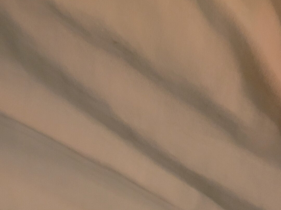 贝克利旅行酒店主图