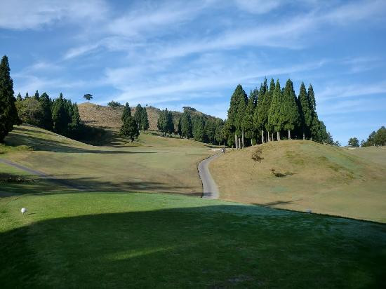 Snow Wave Park Shiratori Kogen-郡上市必去景点