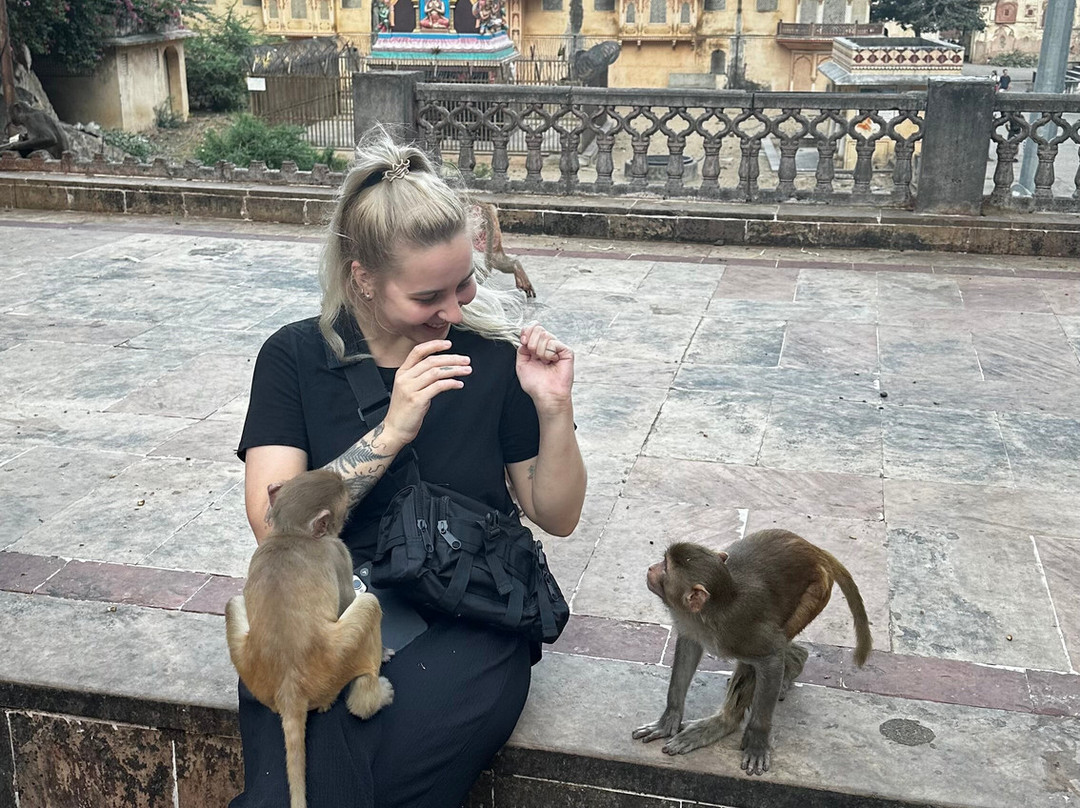 Agra Jaipur Delhi Tours-新德里必去景点