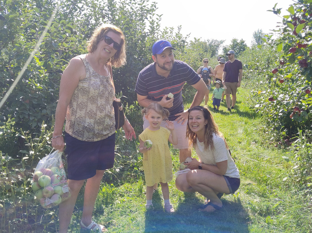 Cannamore Orchard-Crysler必去景点