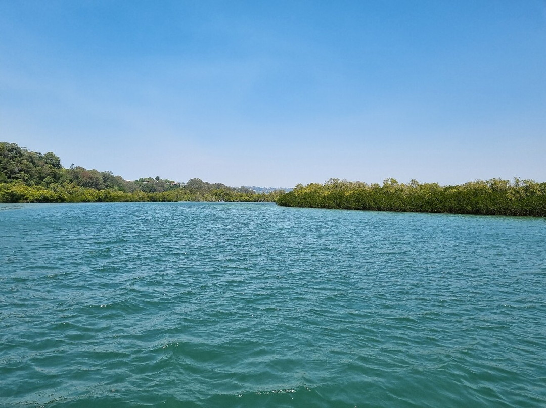 Catch a Crab-堤维德岬必去景点