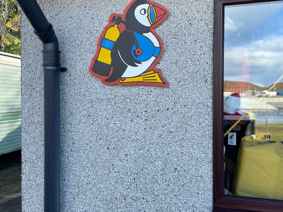 Puffin Dive Centre-奥本必去景点