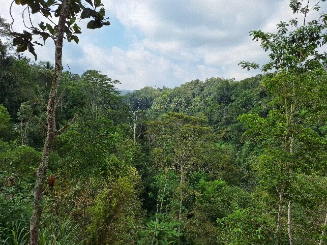 LADINAtour-登巴萨必去景点