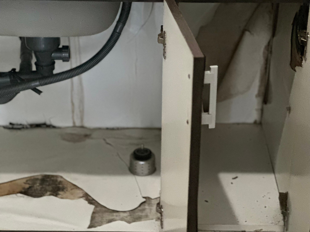 巴厘斯瓦哈酒店主图