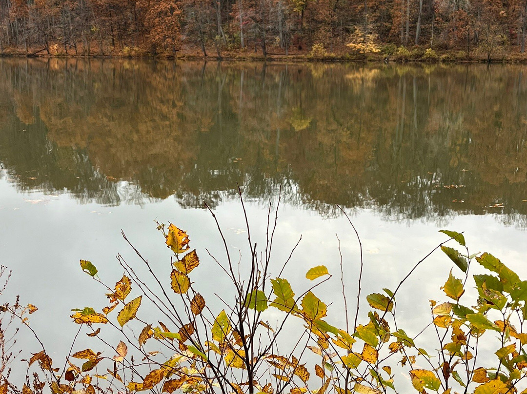Rock Creek Regional Park-罗克维尔必去景点