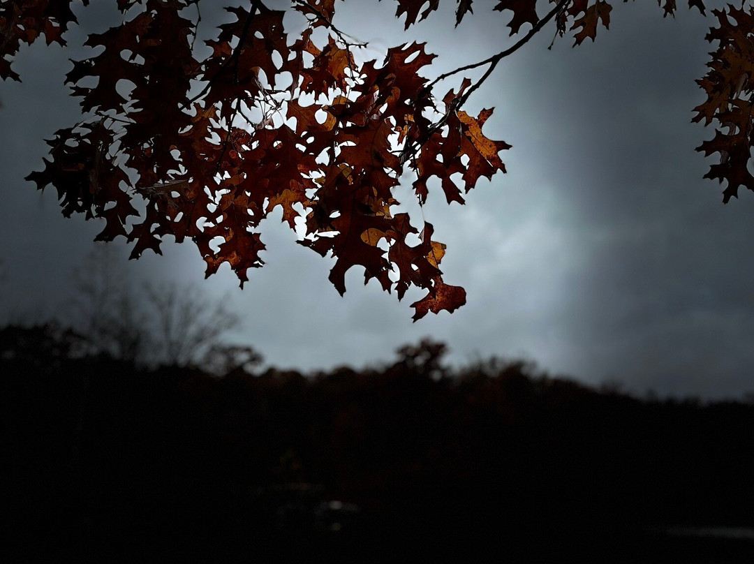 Rock Creek Regional Park-罗克维尔必去景点